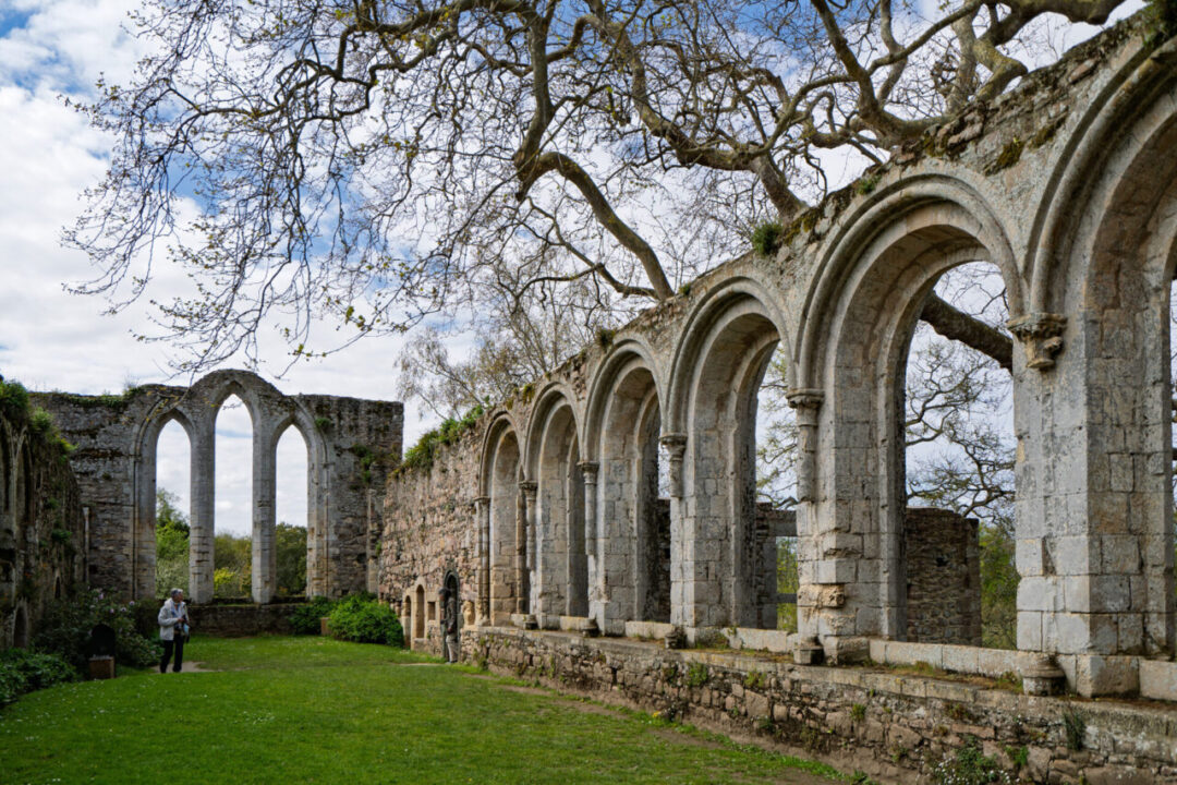 A row of arched stone openings at Beauport Abbey, framed by the silhouettes of leafless trees. 보포르 수도원의 아치형 석조 개구부, 잎이 없는 나무들이 배경을 이루는 풍경