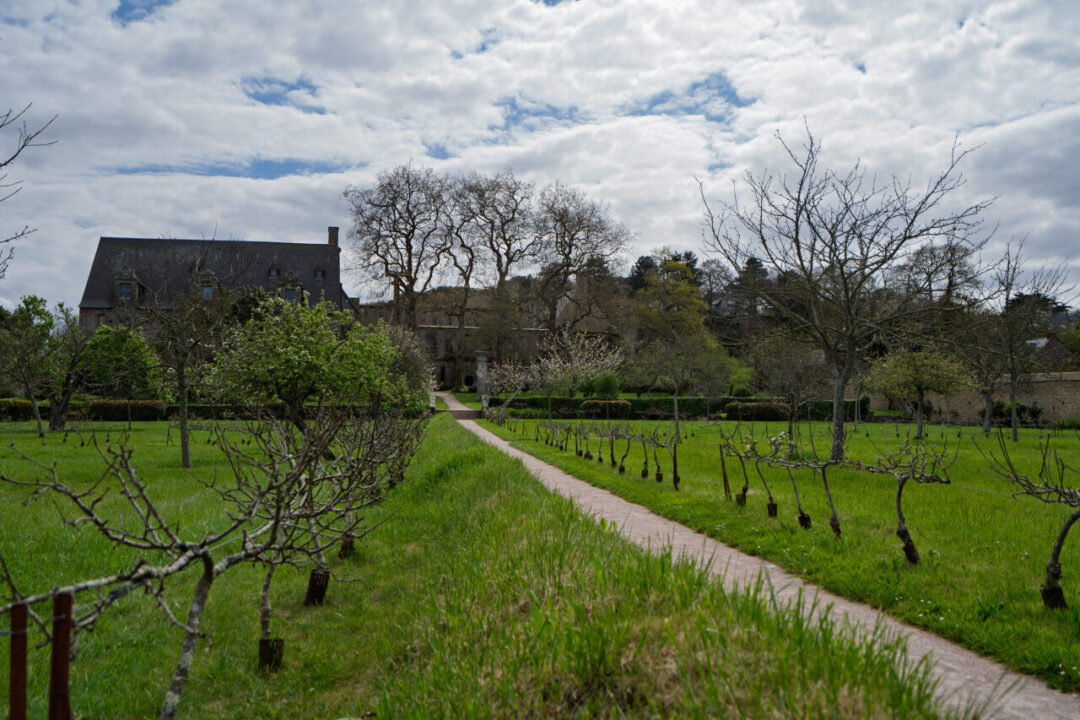 A peaceful garden path leading to Beauport Abbey, surrounded by lush greenery and neatly arranged trees. 푸른 정원과 정돈된 나무들 사이로 보포르 수도원으로 이어지는 고요한 오솔길
