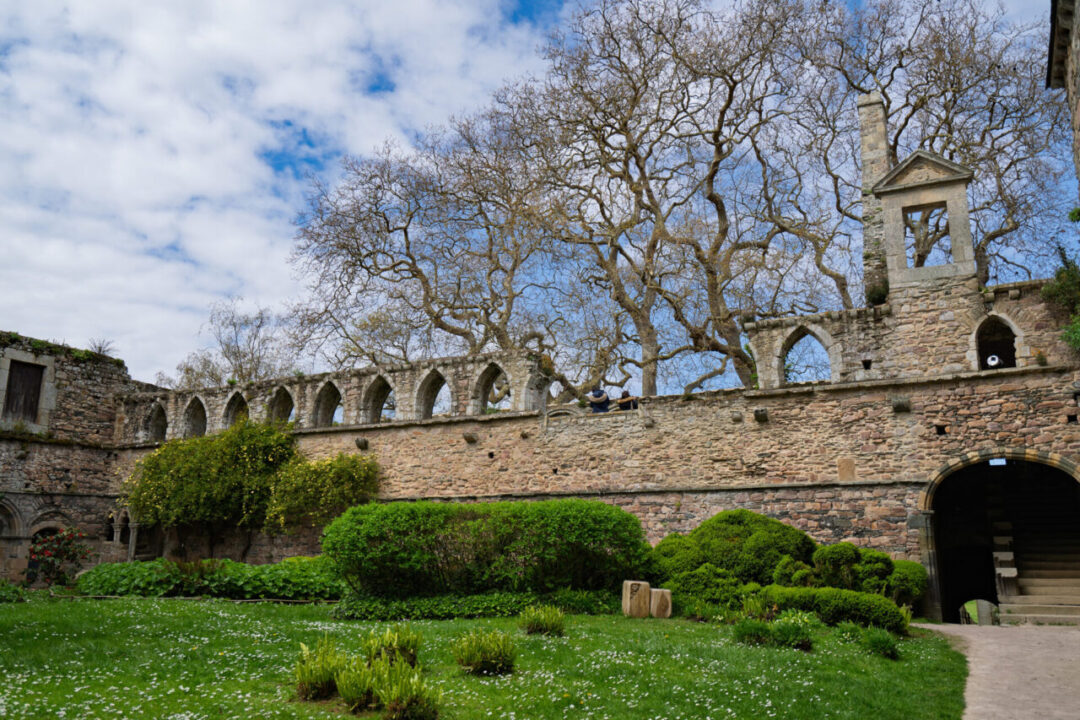 A scenic view of Beauport Abbey’s courtyard, where lush greenery contrasts with ancient stone walls. 보포르 수도원의 안뜰, 푸른 자연과 고대 석조 벽이 조화를 이루는 모습