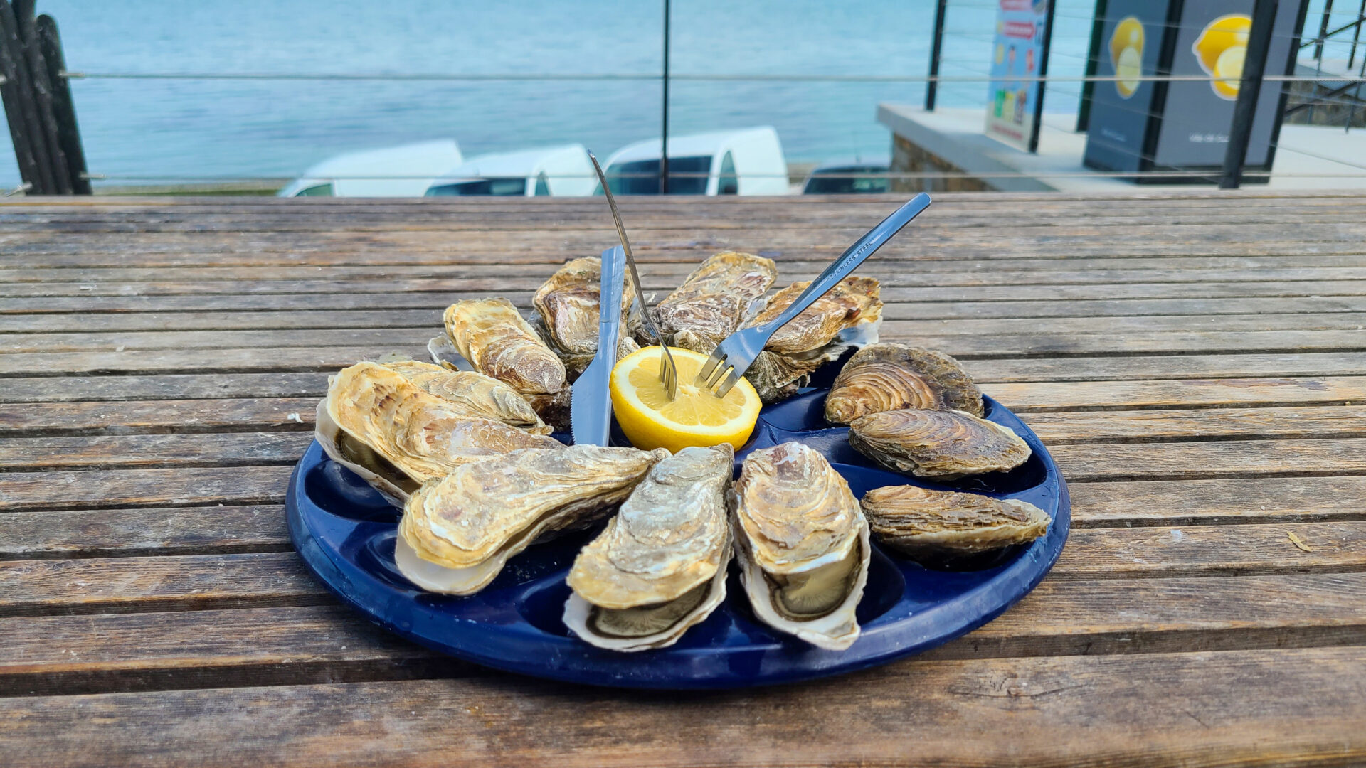 Plate of fresh oysters with lemon at Cancale, 캉칼에서 레몬과 함께 제공된 신선한 굴 한 접시